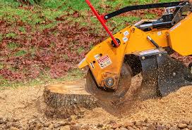 Professional Tree Removal in Clinton, UT