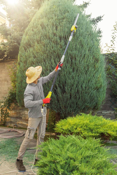 Best Weed Control  in Clinton, UT